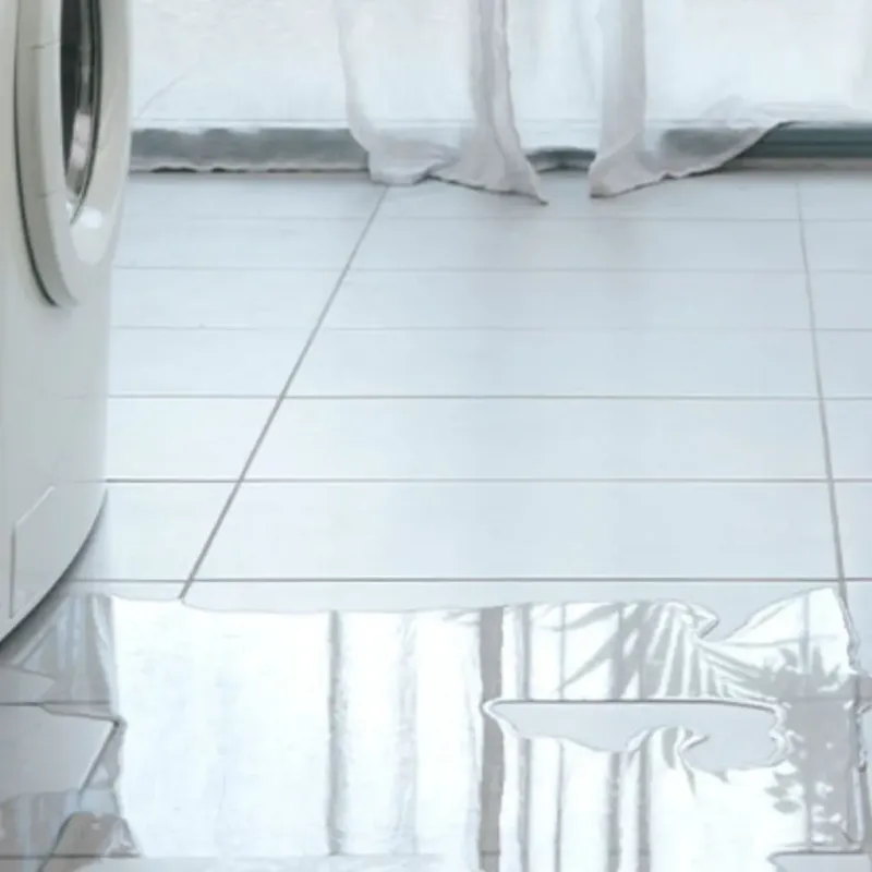 Appliance Leak Cleanup in West Allis, WI