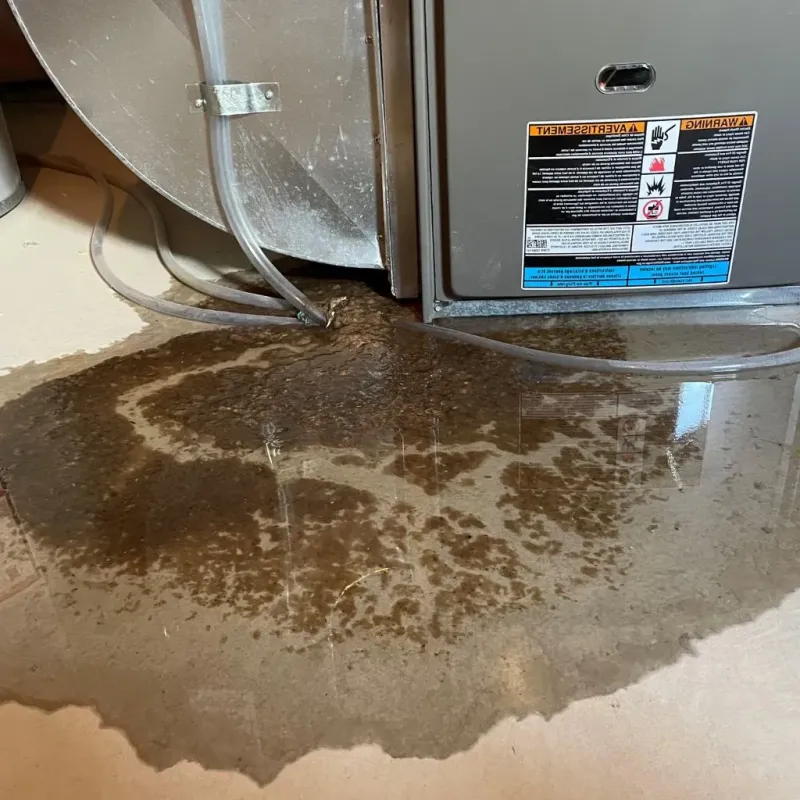 Pipe Burst and Leak Restoration in West Allis, WI